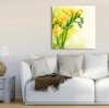 Poster - Yellow flowers on a gentle background, 100 x 100 см, Framed poster on glass, Flowers