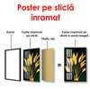 Poster - Plantă solară, 60 x 90 см, Poster înrămat, Glamour