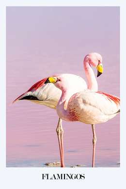 Poster - Flamingo-scoici-plajă, 40 x 60 см, Poster inramat pe sticla