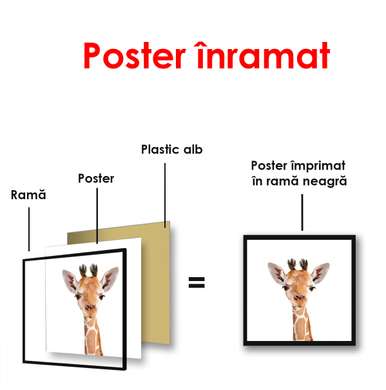 Постер - Маленький жираф на белом фоне, 100 x 100 см, Постер в раме, Минимализм
