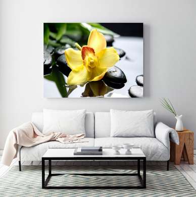 Poster - Orhideea galbenă pe piatră, 90 x 60 см, Poster înrămat, Flori