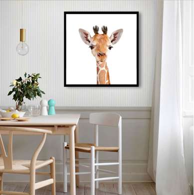 Poster - Pui de girafă pe un fundal alb, 100 x 100 см, Poster înrămat