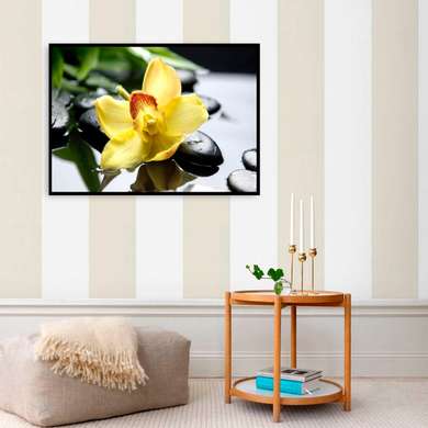 Постер - Желтая орхидея на камне, 90 x 60 см, Постер в раме, Цветы