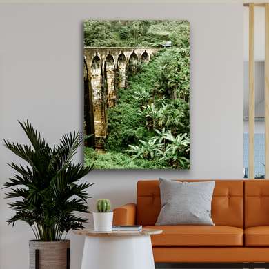 Poster - Pod în junglă, 60 x 90 см, Poster inramat pe sticla