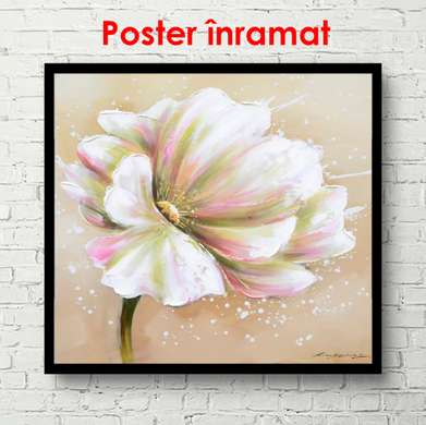 Poster - White flower, 100 x 100 см, Framed poster, Provence