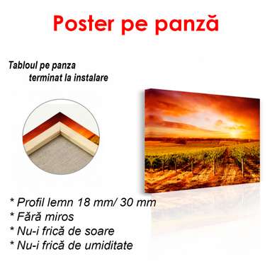Poster - Vineyard at sunset, 90 x 60 см, Framed poster