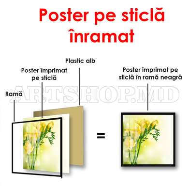 Poster - Flori galbene pe un fundal delicat, 100 x 100 см, Poster inramat pe sticla, Flori