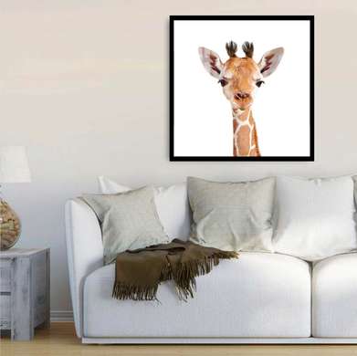 Poster - Pui de girafă pe un fundal alb, 100 x 100 см, Poster înrămat