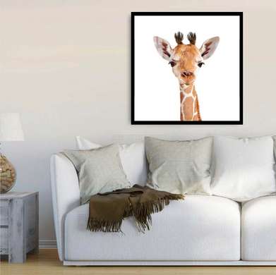 Poster - Pui de girafă pe un fundal alb, 100 x 100 см, Poster inramat pe sticla, Minimalism