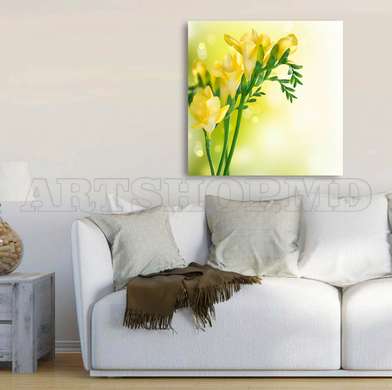 Poster - Flori galbene pe un fundal delicat, 100 x 100 см, Poster inramat pe sticla, Flori