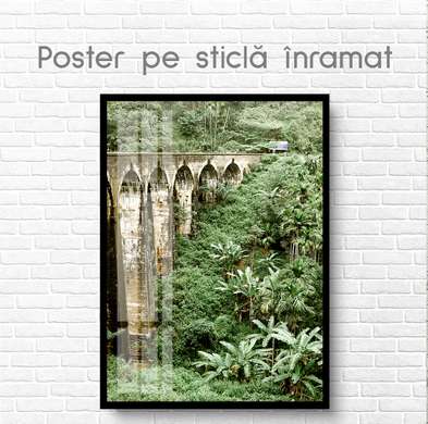 Poster - Bridge in the jungle, 60 x 90 см, Framed poster on glass