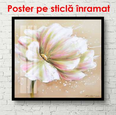 Poster - Floarea albă, 100 x 100 см, Poster înrămat, Provence
