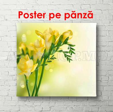 Постер - Желтые цветы на нежном фоне, 100 x 100 см, Постер на Стекле в раме, Цветы