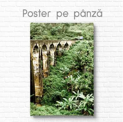 Постер - Мост в джунглях, 30 x 45 см, Холст на подрамнике