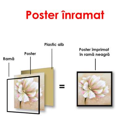 Постер - Белый цветок, 100 x 100 см, Постер в раме, Прованс