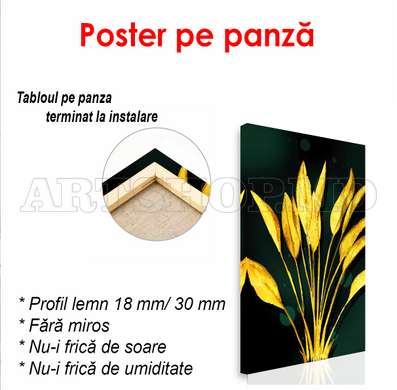 Poster - Plantă solară, 60 x 90 см, Poster înrămat, Glamour