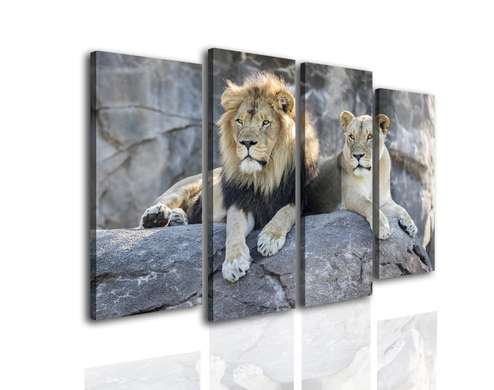 Modular picture, Lion and lioness lie on a stone, 106 x 60