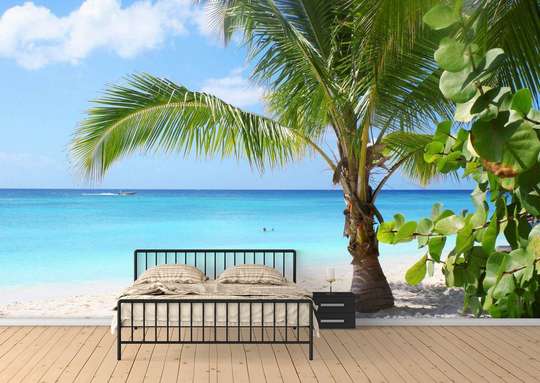 Фотообои - Пляж с пальмами и солнечным небом