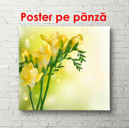 Постер - Желтые цветы на нежном фоне, 100 x 100 см, Постер в раме, Цветы