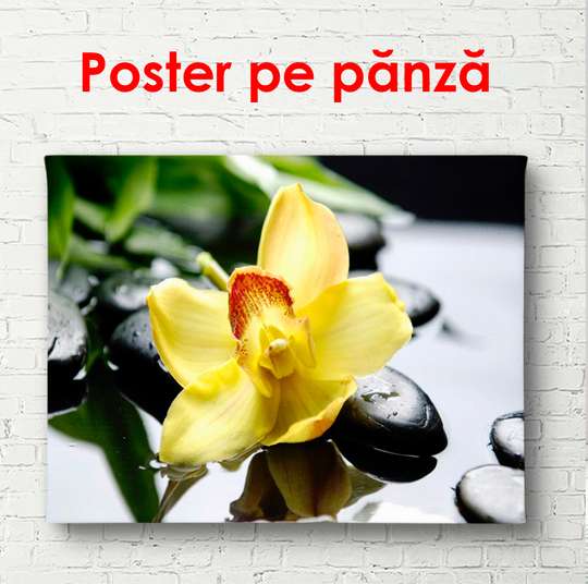 Poster - Yellow orchid on a stone, 90 x 60 см, Framed poster