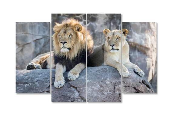Tablou Pe Panza Multicanvas, Leul și leoaica stau pe piatră, 198 x 115