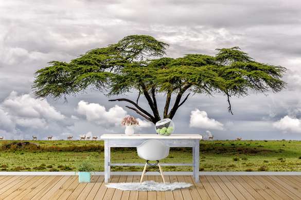 Фотообои - Дерево в Саване