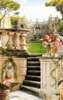 Wall Mural - Steps in the garden