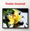 Poster - Orhideea galbenă pe piatră, 90 x 60 см, Poster înrămat, Flori