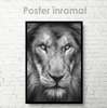 Постер, Взгляд тигра, 60 x 90 см, Постер на Стекле в раме, Животные