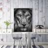 Poster, Tiger look, 60 x 90 см, Framed poster on glass, Animals