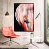 Poster, Pink flamingo, 60 x 90 см, Framed poster on glass, Animals