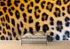 Wall Mural - Leopard dreams