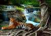 Фотообои - Тигр отдыхает возле водопада