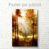 Постер - Осенний лес, 60 x 90 см, Постер на Стекле в раме