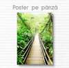 Постер - Мост в зеленом лесу, 60 x 90 см, Постер на Стекле в раме