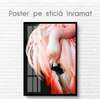 Poster, Pink flamingo, 60 x 90 см, Framed poster on glass, Animals