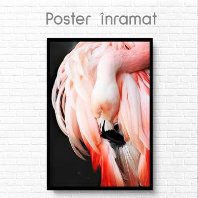 Poster, Flamingo roz, 60 x 90 см, Poster inramat pe sticla