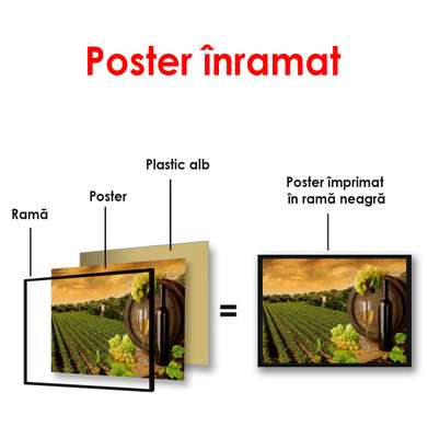 Poster - Vineyard at sunset, 90 x 60 см, Framed poster, Food and Drinks