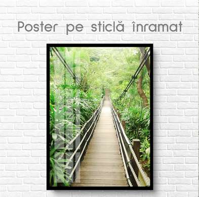Poster - Pod în pădurea verde, 60 x 90 см, Poster inramat pe sticla