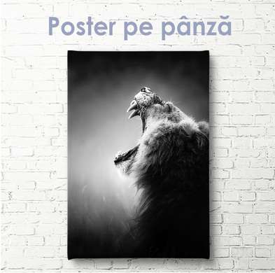 Постер - Рычащий лев, 30 x 60 см, Холст на подрамнике, Черно Белые