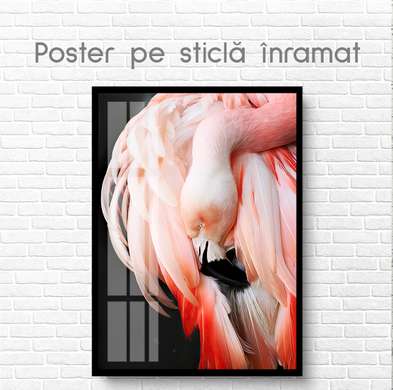 Постер, Розовый фламинго, 60 x 90 см, Постер на Стекле в раме, Животные