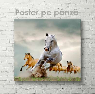 Poster, Running horses, 40 x 40 см, Canvas on frame