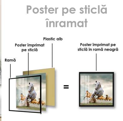 Poster, Caii aleargă, 100 x 100 см, Poster inramat pe sticla