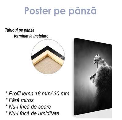 Poster - Roaring lion, 30 x 60 см, Canvas on frame, Black & White