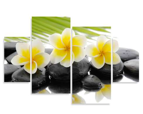 Modular picture, Yellow flowers on black stones.