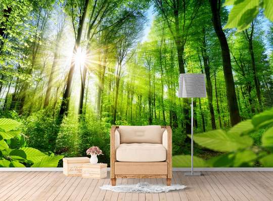 Wall Mural - Sunny forest