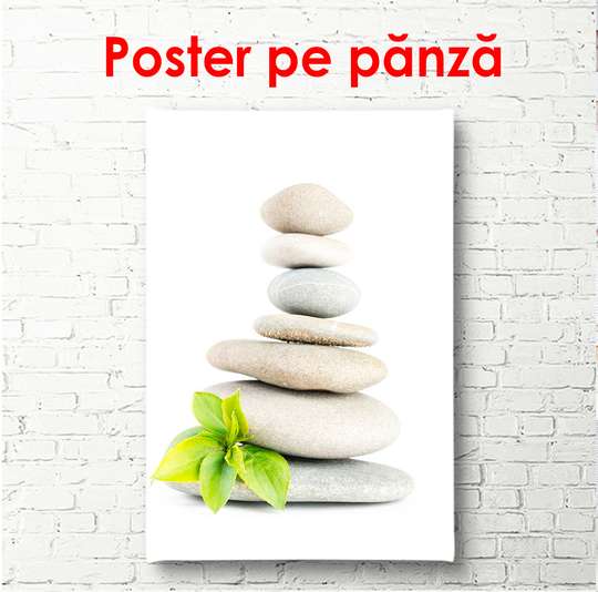 Постер - Белые камни и зеленый листик на белом фоне, 60 x 90 см, Постер в раме