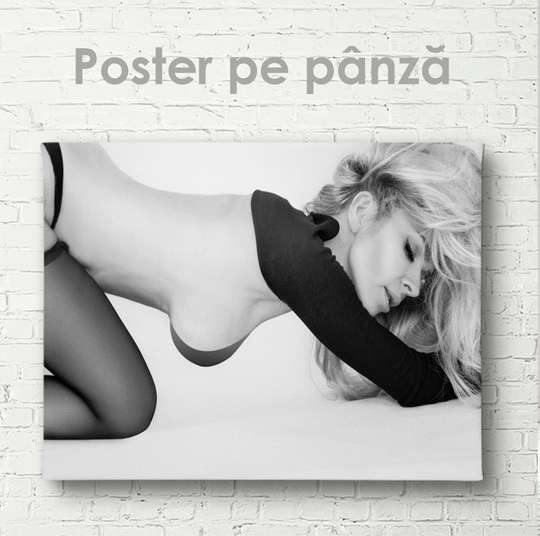 Poster - Îndoituri elegante, 45 x 30 см, Panza pe cadru