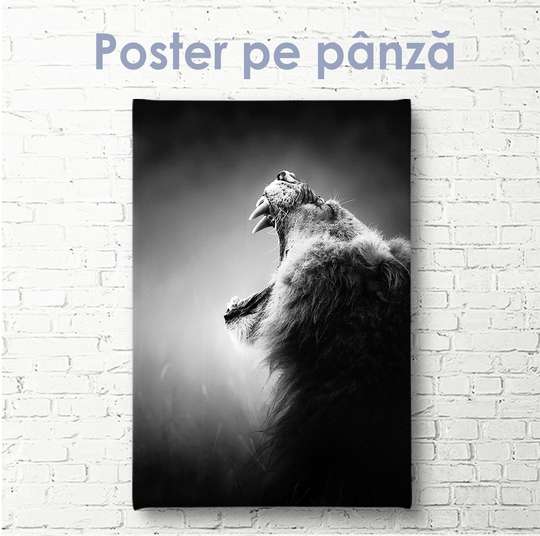 Постер - Рычащий лев, 30 x 60 см, Холст на подрамнике