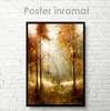 Poster - Autumn forest, 60 x 90 см, Framed poster on glass